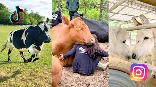 Viral Videos of Rescued Animals That Will Melt Your Heart | The Gentle Barn Compilation