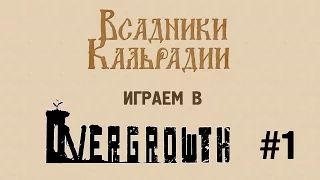 Играем в Overgrowth #1