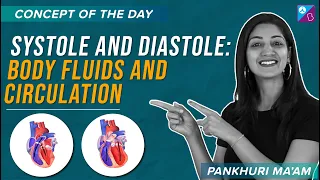 NEET 2023 | Systole and Diastole - Body Fluids and Circulation Class 11 Biology Concept Explained