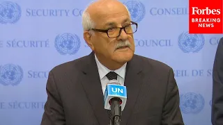 'We Are Not Subhumans': Palestinian UN Representative Riyad Mansour Decries Israeli Strikes On Gaza