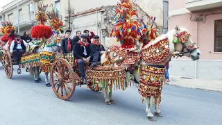 Sfilata dei carretti siciliani in onore del santo Protettore San Giuseppe 2023