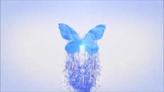 Футаж бабочка