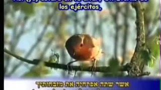 שירת הבריאה, פרק שירה, SUBTITULADA AL ESPAÑOL