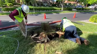 FCTS - Water Jet Tree Stump Removal