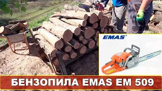 EMAS EM 509 - Найкраща бензопила за ці гроші! РЕАЛЬНИЙ ТЕСТ НА ДУБІ 20-50 см