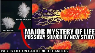 Major Breakthrough On Origins of Life on Earth: Did Magnetism Cause Chirality?