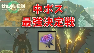 【ティアキン】コンラン花で中ボス達を戦わせてみた【ゼルダの伝説 ティアーズ オブ ザ キングダム】