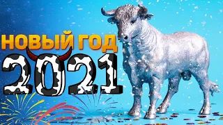 Новый год 2021 - как встречать год Быка, прогноз астролога