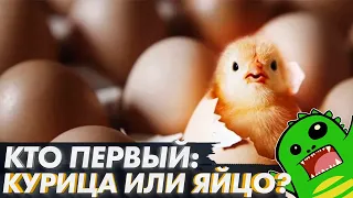 КУРИЦА или ЯЙЦО - генетика и эволюция могут помочь?