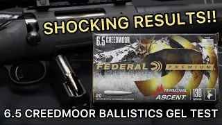 BEST LONG RANGE AMMO?! 6.5 Creedmoor Federal Terminal Ascent 130gr Ammo Test