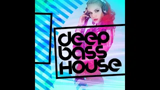 Best Deep Bass house Mix Feb 2024