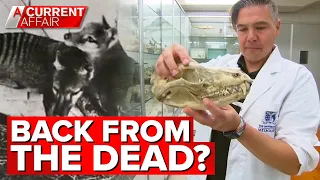 Scientists could bring back the Thylacine - but should they? | A Current Affair