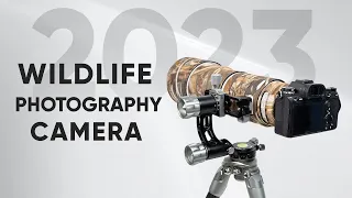 7 Best Wildlife Photography Camera In 2024