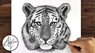 How to Draw a TIGER | Pencil Drawing Tutorial (step by step)