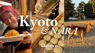 Kyoto Japan Vlog | one day trip to NARA 🦌 deer park, cute cafes, kichi kichi omurice, higashiyama