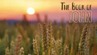 John 15: Abiding in the Vine | Pastor Jared Pozarnsky