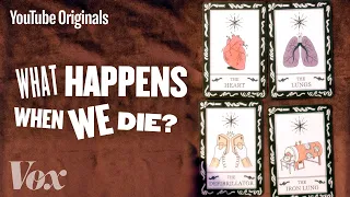 What Happens When We Die? - Glad You Asked S1