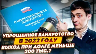 Упрощенное банкротство физических лиц без суда! Выход при долге менее 300 000 рублей?