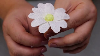 Ромашки из бумаги легко и просто / Daisy crepe paper