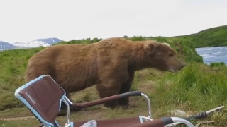 Животные на рыбалке воруют рыбу, червей, угоняют машину