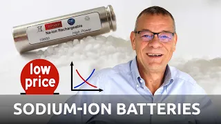 Prof. Stefano Passerini - Low Costs will drive Sodium-Ion Batteries | Battery Podcast