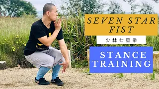 Shaolin Seven Star Fist (Qi Xin Quan - 七星拳) - Seven Star Stance Training 🔥.