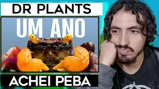 Um Ano Atrás Eu Construí Um Ecossistema, Isso Aconteceu - Dr Plants Brasil | Leozin React