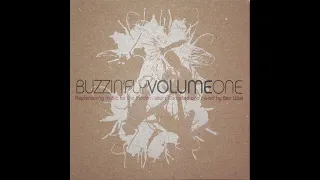 Ben Watt – Buzzin' Fly Volume One (Replenishing Music For The Modern Soul) (Part 1) (2004)