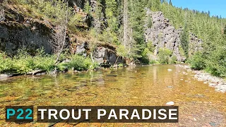 3 days of fly fishing in Trout Paradise and never saw another person! p22