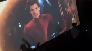 Spider Man No Way Home Andrew Garfield Audience Reaction