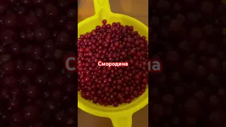 Смородина/ Моя любимая дача