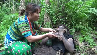 Primitive Life - Girl Solo Survival Relaxing In The Rainforest meet Villager Find Eating Watermelon