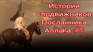 Сподвижник Пророка Мухаммада "Усама ибн Зайд"