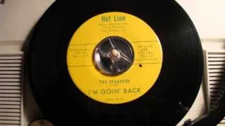 The Sneakers - I'm goin' back (60'S GARAGE FRAT PUNK)