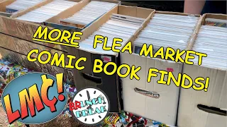 Late Morning Comic Hunting at a Local FLEA MARKET!