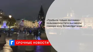 «Прибыла только половина»: пользователи Сети высмеяли главную елку Великобритании