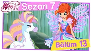 Winx Club- 7. Sezon 13. Bölüm - Tek Boynuzlu Atın Sırrı [TAM BÖLÜM]