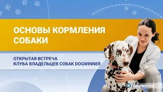 ОСНОВЫ КОРМЛЕНИЯ СОБАК. Встреча с ветеринарным врачом-диетологом Екатериной Ниговой.