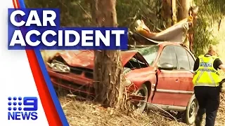 Man killed when car collided with a horse then into a tree | Nine News Australia