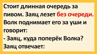 Стоит длинная очередь за пивом. Заяц лезет без очереди... Лучшие Анекдоты Недели