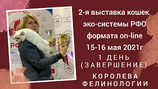 Конкурс "Королева фелинологии" 1-го дня выставки кошек РФО 15-16.05.2021г