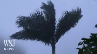 Watch: Trees Whipped as Hurricane Idalia Brings Strong Winds to Florida | WSJ News