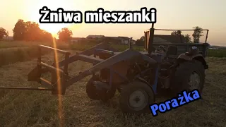 Żniwa mieszanki przenica-jęczmień (Słabo Sypie)