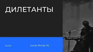 Дилетанты-Sunny