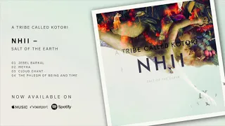 Nhii - Jebel Barkal [A Tribe Called Kotori]