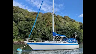 Wauquiez Pretorien 35 "Haibathu" for sale