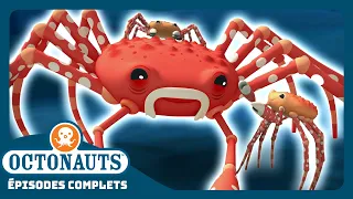 Octonauts - 🕷️ Le crabe-araignée géant 🦀 | Saison 1 | Épisodes complets