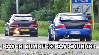 Best of Subaru Impreza Sounds Compilation (WRX sti)