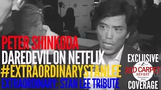 Peter Shinkoda interviewed at the Extraordinary Stan Lee Tribute Event #ExtraordinaryStanLee