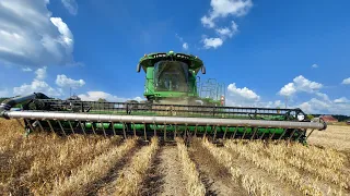 Harvest Has Started!!  Black beans are up first.